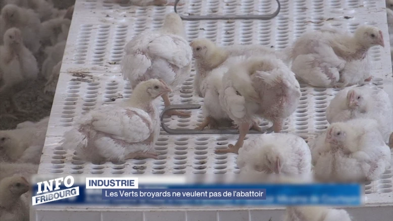 Les Verts broyards ne veulent pas de l'abattoir