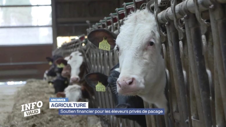 Demande d'aide pour les éleveurs privés de pacage