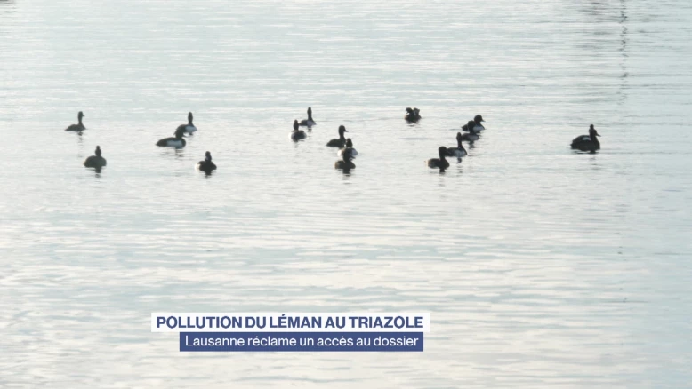 Pollution au triazole: Lausanne réclame un accès au dossier
