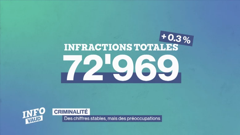 Criminalité : des chiffres stables, mais des préoccupations