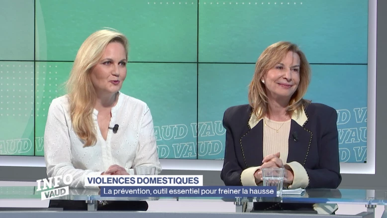 Violences domestiques, la prévention pour freiner la hausse