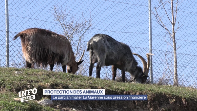 Le parc animalier La Garenne sous pression financière