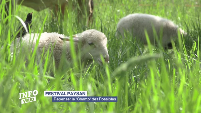 Un festival pour repenser le "Champ" des Possibles