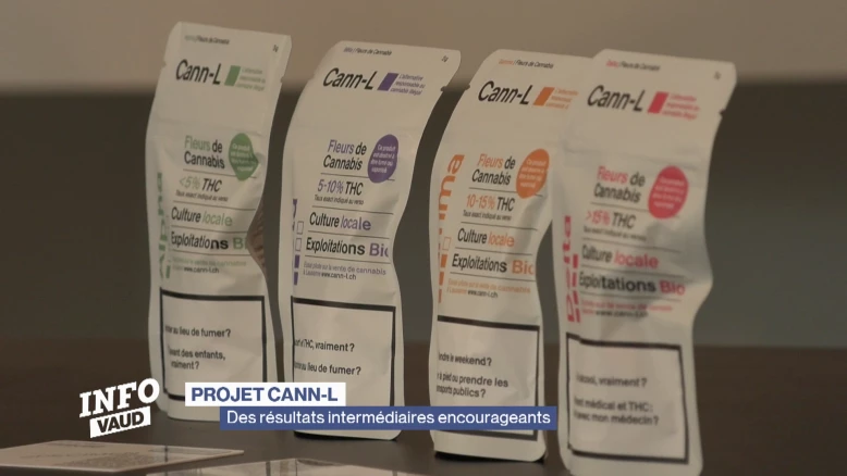 Cann-L : le marché noir perd 2 millions