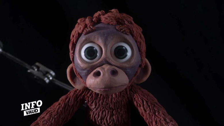 "Coup de Projo" sur Antonin Niclass