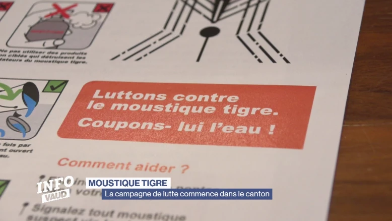 Moustique tigre : Campagne de lutte dans le canton