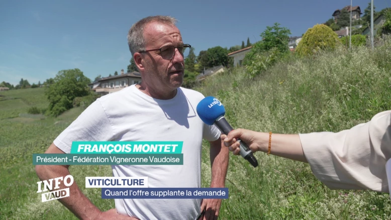 Vitticulture: quand l'offre supplante la demande
