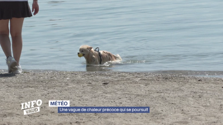 Une vague de chaleur précoce qui se poursuit