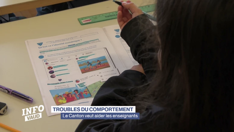Les troubles du comportement dans le dispositif scolaire
