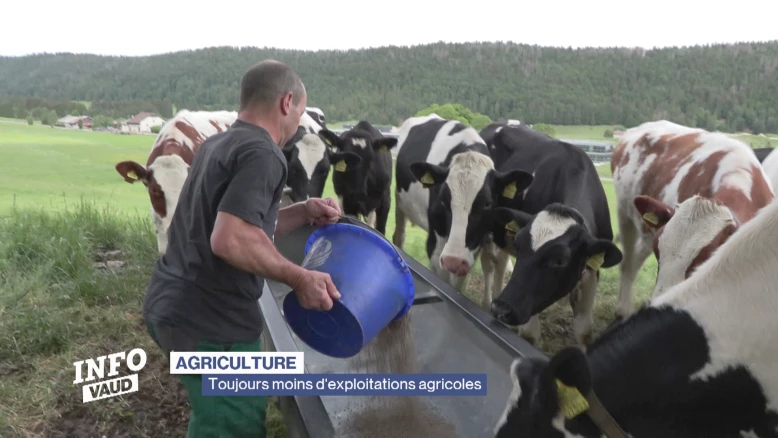 Toujours moins d'exploitations agricoles dans le canton