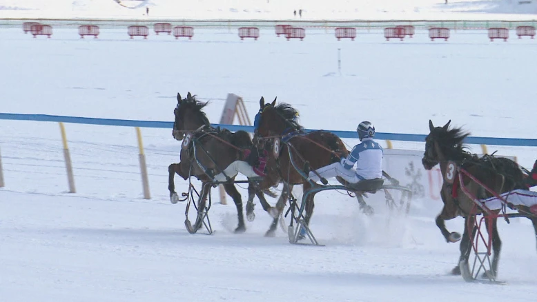 White Turf St.Moritz - Courses du 15 février 2026
