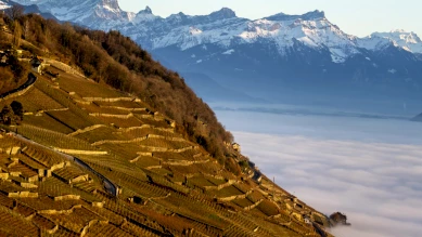 PAC Lavaux : enquête publique complémentaire jusqu'au 4 décembre