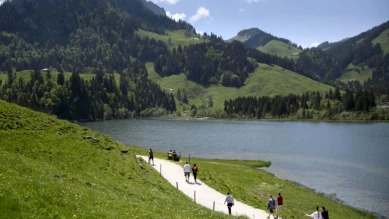 Choc douanier: exportations fribourgeoises et économie sous pression
