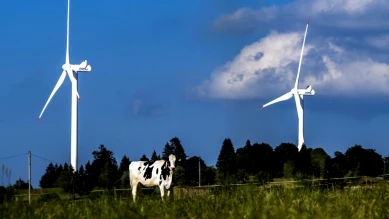 Fribourg : TC ordonne la transparence sur le plan éolien