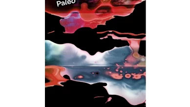 Paléo 49e édition : affiche futuriste signée Garance Allely avec IA