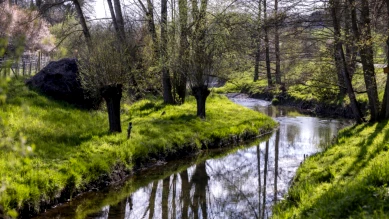 90 indicateurs pour suivre l'état de l'environnement à Fribourg