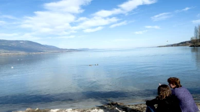 Nouvelle ligne de bus gare–plage à Yverdon-les-Bains, été 2026