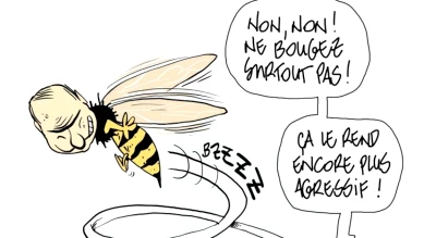 Le jurassien Pitch Comment remporte le Swiss Cartoon Award 2025