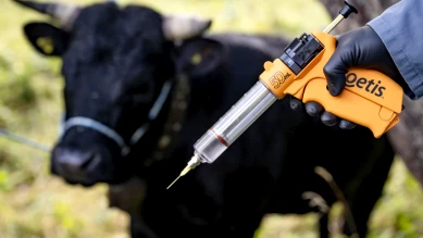 Agriculteurs mécontents de la stratégie d'abattage contre la DNC
