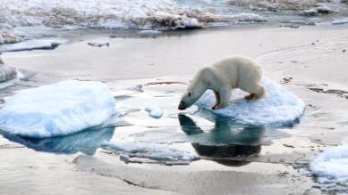 Vernier expose en plein air des linogravures inspirées du Grand Nord