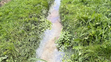 Pollution du Glaney: mousse blanche entre Billens-Hennens et Romont