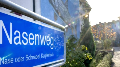 Bâle: internement et électrochocs pour un assassin schizophrène