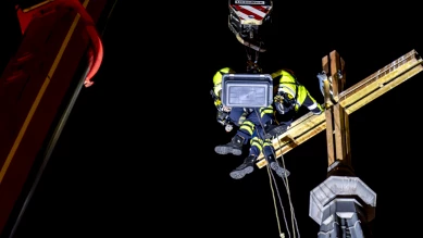 Goéland coincé dans la croix d'un clocher à Genève secouru