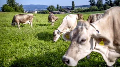 Neuchâtel renforce son dispositif de prévention de la détresse paysanne