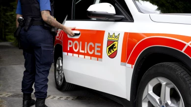 Incendie à Detligen (BE) : 23 porcs et porcelets périssent