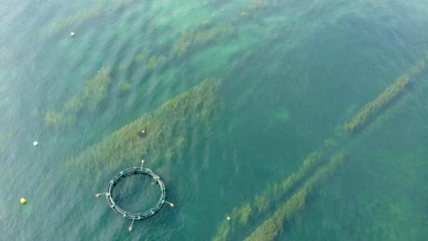 Le public pourra se confronter à la désertification dans le Léman
