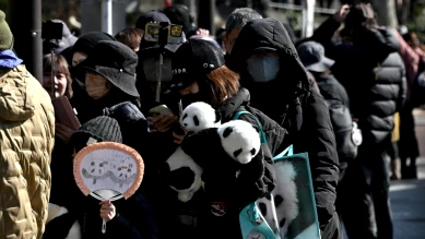 Les pandas de Tokyo rapatriés en Chine après tensions diplomatiques