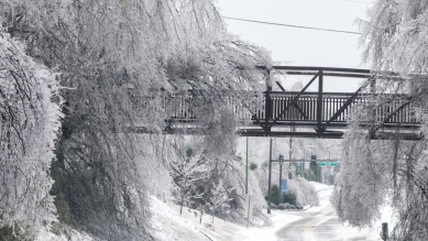 Froid polaire aux États-Unis : 30 morts et 530 000 sans électricité