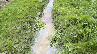Pollution au ruisseau de L'Hôpital à Domdidier (FR) : nappe huileuse