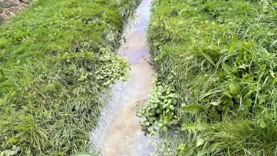 Pollution de la Sionge à Vaulruz: épandage de lisier, enquête ouverte