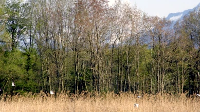 Nouveau pavillon d'accueil au Centre Nature des Grangettes à Noville