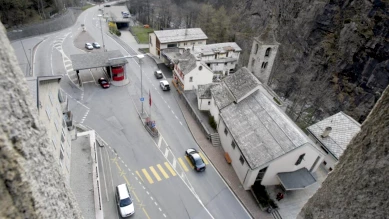 Papiers falsifiés pour 5 loulous de Poméranie interceptés à la douane