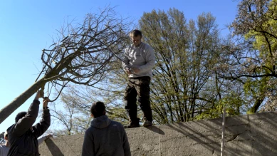 Fribourg : de nouveaux arbres en bacs pour plus de fraîcheur et de convivialité en ville