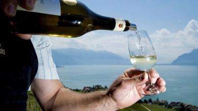 Les Caves Ouvertes Vaudoises 2024 : Dégustations et Découverte des Vins pour la Pentecôte