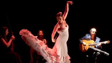 Festimixx 2024 à Renens : Festival de la diversité culturelle, musicale et gastronomique