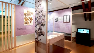Exposition Finale sur la Biodiversité Fribourgeoise au MHNF