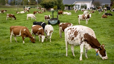 Vaud : Mesures sociales pour soutenir les agriculteurs dès 2025