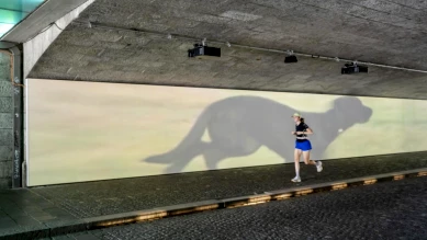 Marché de l'Art : La Jeune Génération au Cœur d'Art Basel