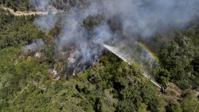 Syrie : Incendies de forêt maîtrisés après 10 jours de lutte