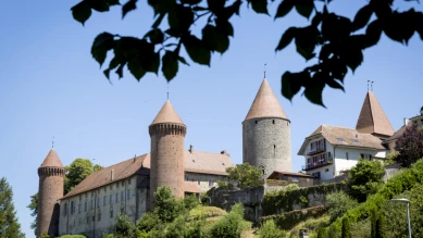 Concours de Moutarde de Bénichon 2023 à Fribourg : Saveurs et Traditions