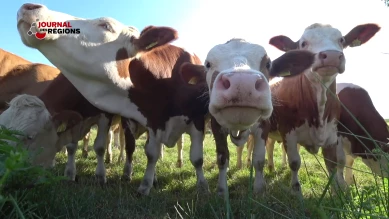 Journal du 24 septembre 2023