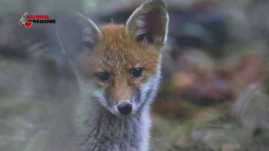 Journal du 23 décembre 2023