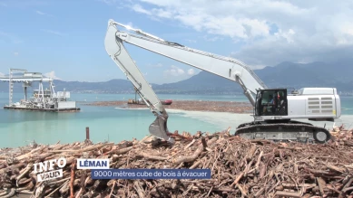 Des millions de tonnes de bois à évacuer