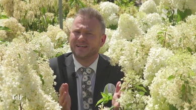 Plantes en terre acide