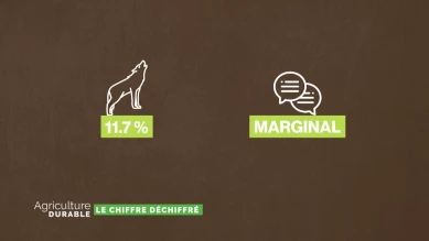 Le chiffre déchiffré - L'alimentation des loups