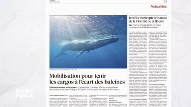 Chronique